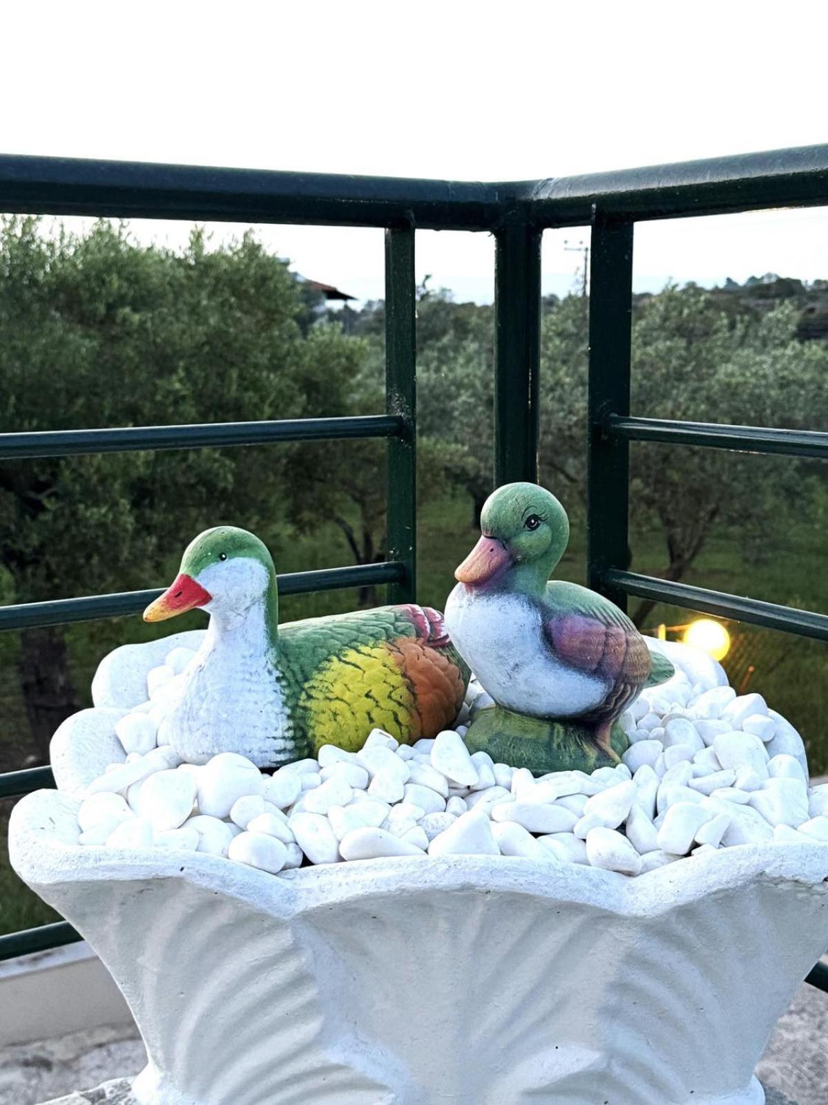 Afroditis House Ormos Panagias Dış mekan fotoğraf