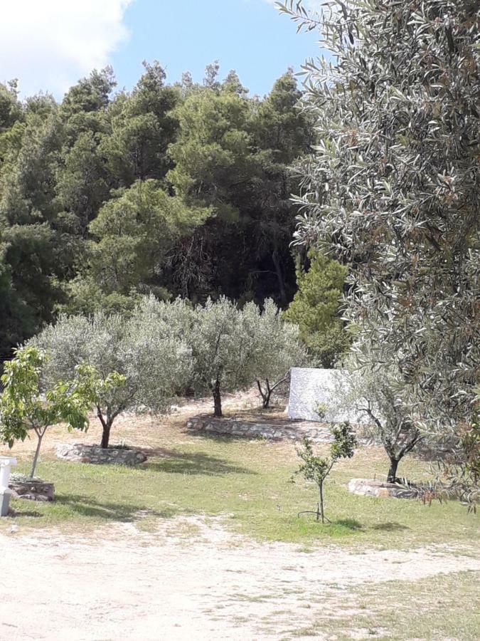 Afroditis House Ormos Panagias Dış mekan fotoğraf